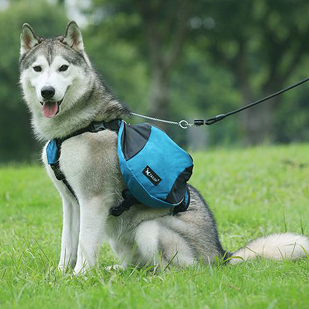 Dog Weight Training Backpack H - Crossfit Weight Vest review and price